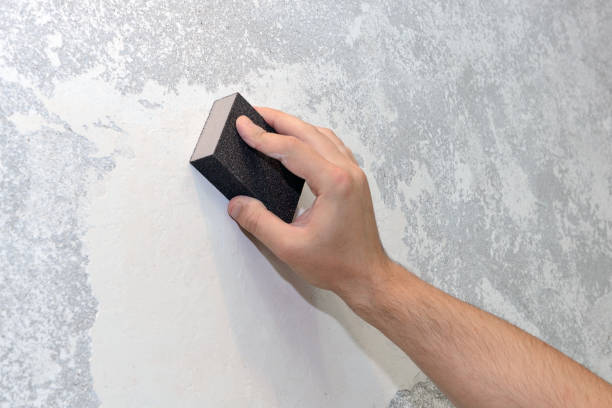 Mold Remediation for Vacation Homes in Earlimart, CA